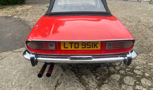 Stag for Sale