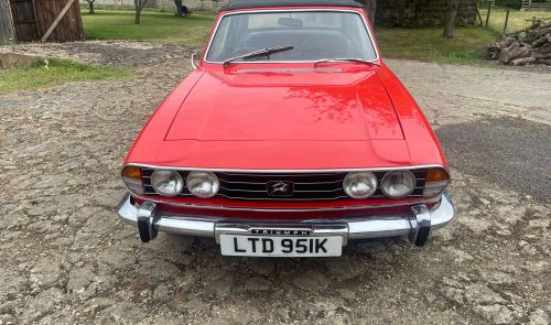 Stag for Sale