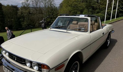White Stag for Sale (2)